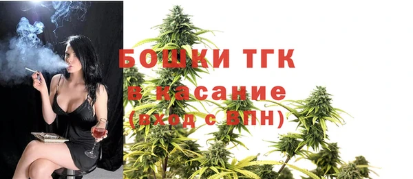 шишки Алексин